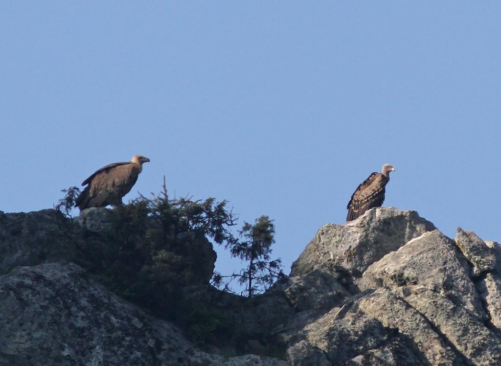 Vilaportuguesa Vila Velha de Rodao Dış mekan fotoğraf