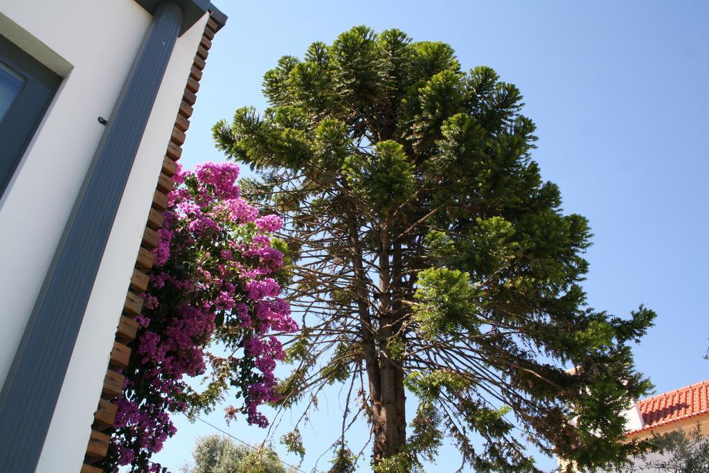 Vilaportuguesa Vila Velha de Rodao Dış mekan fotoğraf
